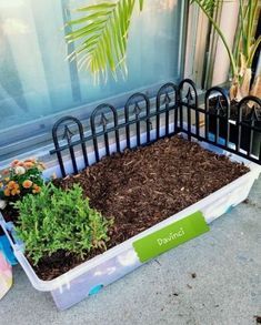 a container filled with dirt and plants next to a window