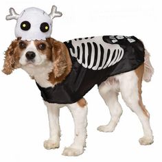 a dog dressed in a skeleton costume with horns and bones on it's head