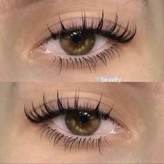 РЕСНИЦЫ ОБУЧЕНИЕ СПБ (@lovelash.spb) • Instagram photos and videos Bambi Lashes, Anime Effects, Eyelash Styles, Eye Lash Tattoo, Light Makeup Looks, Lash Extensions Makeup, Lashes Extensions