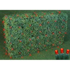 a boxwood hedge with red lights on it