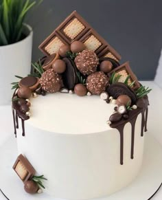 a white cake topped with lots of chocolates and covered in icing next to a potted plant