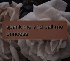 a sign that says spank me and call me princess