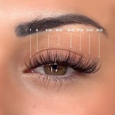 Last Extensions Cat Eye, Lash Set For Almond Eyes, Cat Eyes Extension, Wet Set Classic Lash Extensions, Cat Eye Classic Lash Extensions Map, Lashes Mapping Cat Eye, Cat Eye Lashes On Almond Eyes, Whisky Cat Eye Lashes, Mock Cat Eye Lash Extensions