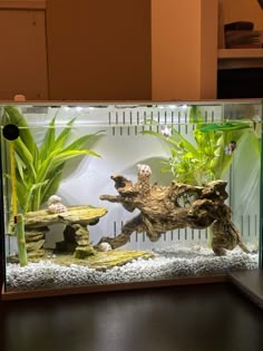 an aquarium with plants and rocks in it