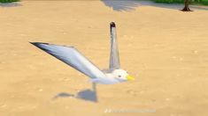 a white bird flying over a sandy beach