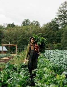 a person in a field with lots of green plants