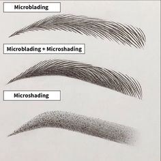 Types Of Eyebrows, Best Eyebrow Makeup, Eyebrow Embroidery, Eyebrow Makeup Tips