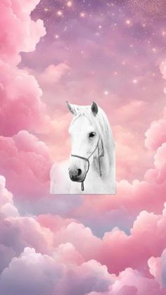 a white horse is standing in the clouds