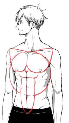 a drawing of a man's torso with lines drawn across the chest and back