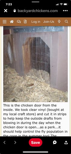 an image of a chicken in the barn with caption about how to clean it