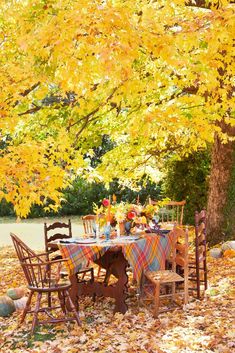 a table set up under a tree in the fall