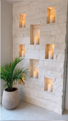 candles are lit on the wall next to a potted plant