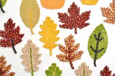 an assortment of beaded autumn leaves and acorns