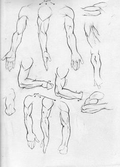 this is an image of a man's body and hands in various positions to draw