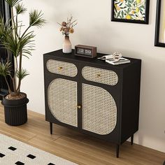 a black and white cabinet sitting in a living room next to a potted plant