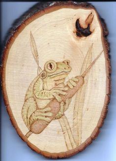 a frog sitting on top of a piece of wood