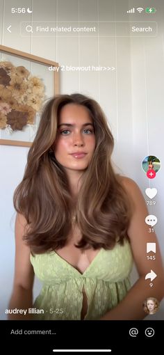 Chocolate Brown Hair With Sunkissed Highlights, Brunette W Lowlights, Zoey Deutch Brown Hair, Brown Hair Color Dimension, Light Brown Hair With No Highlights, Haircuts For Medium Hair No Layers, Textured Brunette Hair, Honey Blonde Hair Cool Skin Tone, Caramel Babylights On Brown Hair