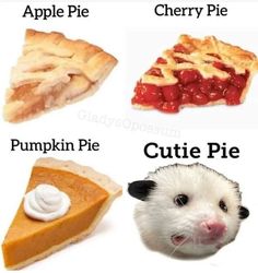 four different types of pies with captions in english and chinese, including apple pie, cherry pie, pumpkin pie, cutie pie, cute pie