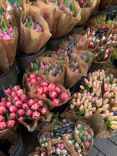 many tulips are in brown paper bags