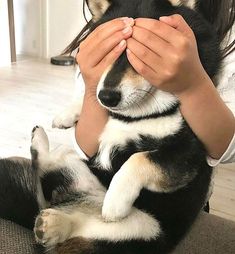 a woman holding a dog on her lap with both hands over it's face