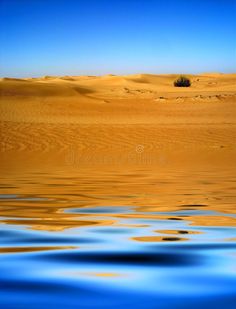 the desert with water and sand dunes in the background