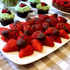 strawberries and cupcakes are arranged on a plate