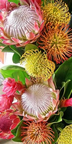 some pink and yellow flowers are in a vase