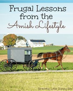 Amish Living Lifestyle, Hopi Prophecy, Land Conservation, Amish Lifestyle, Conservation Activities, Amish Living, Amish Culture, Amish Life, Country Gal