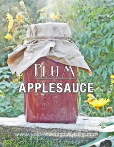 a red birdhouse with the words plum applesauce on it