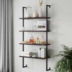 a shelf with books, candles and other items on it next to a potted plant