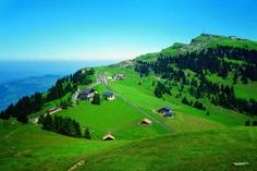 a green hillside with houses on it