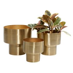 three brass vases with plants in them