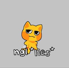 an orange cat with big eyes and the words night lies