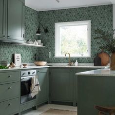 a kitchen with green cabinets and white counter tops is pictured in this image, there are plants on the window sill