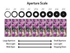 the image shows how to use an appetie scale for photoshopped images