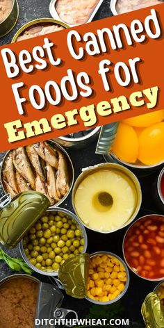 the best canned foods for emergency are in tins with text overlay that reads, best canned foods for emergency