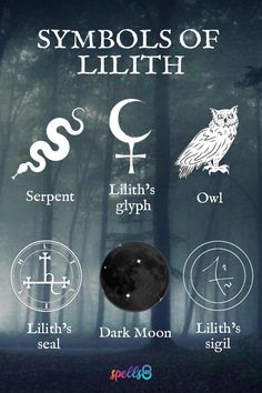 symbols of the zodiac signs and their meaningss on a dark background with trees in the background