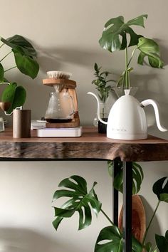 some plants are sitting on a shelf near a coffee pot and other items in front of them