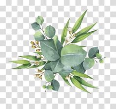 green leaves and white flowers on a transparent background