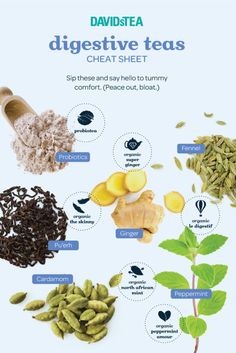 an info sheet describing the different ingredients used in teas and their uses on it