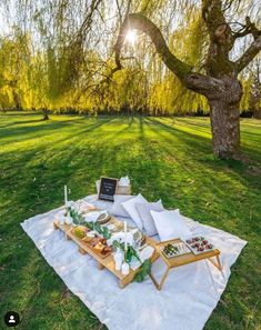 an outdoor picnic with food and drinks on a blanket in the grass near a tree