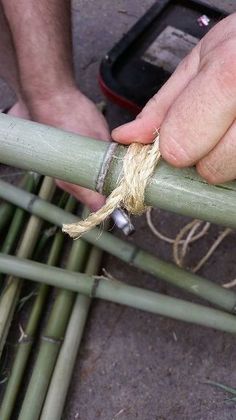 a person is tying a rope on top of some bamboo poles in the process of making something