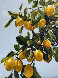 an oil painting of lemons on a tree branch