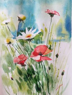 watercolor painting of red and white daisies in the grass with blue sky background