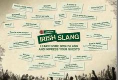 a poster with words and pictures on it that read irish slang learn some irish, sing and impress your guests