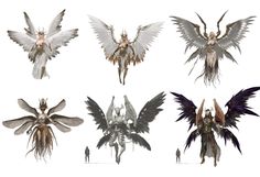 six different types of angel wings on a white background