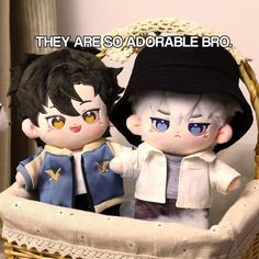 two dolls sitting in a basket with the caption they are so adorable bro