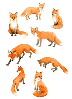 watercolor paintings of foxes sitting and standing in different positions on a white paper background