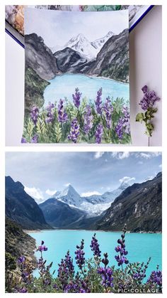 two pictures with flowers and mountains in the background, one has water and purple flowers