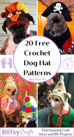 the top 20 free crochet dog hat patterns for all kinds of dogs and their owners